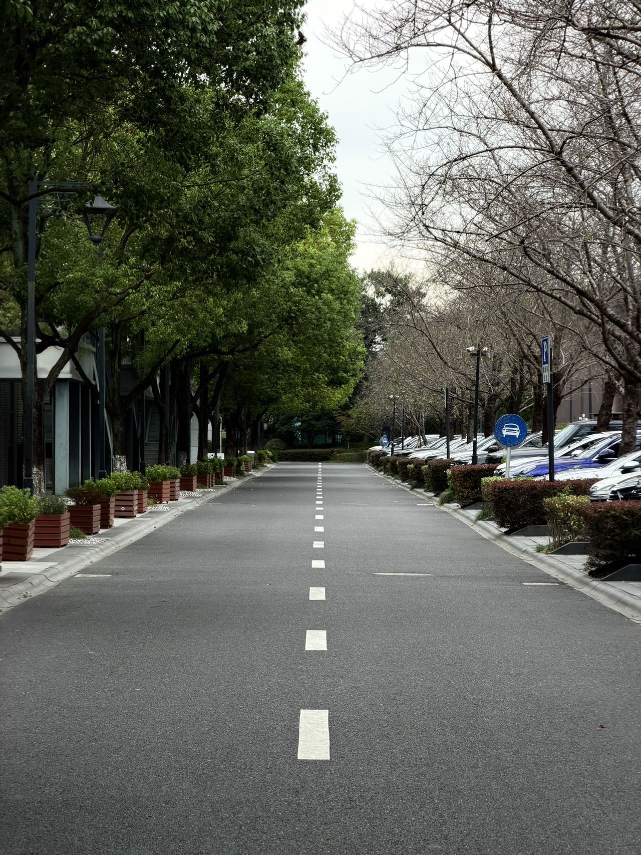 帖子配图 2
