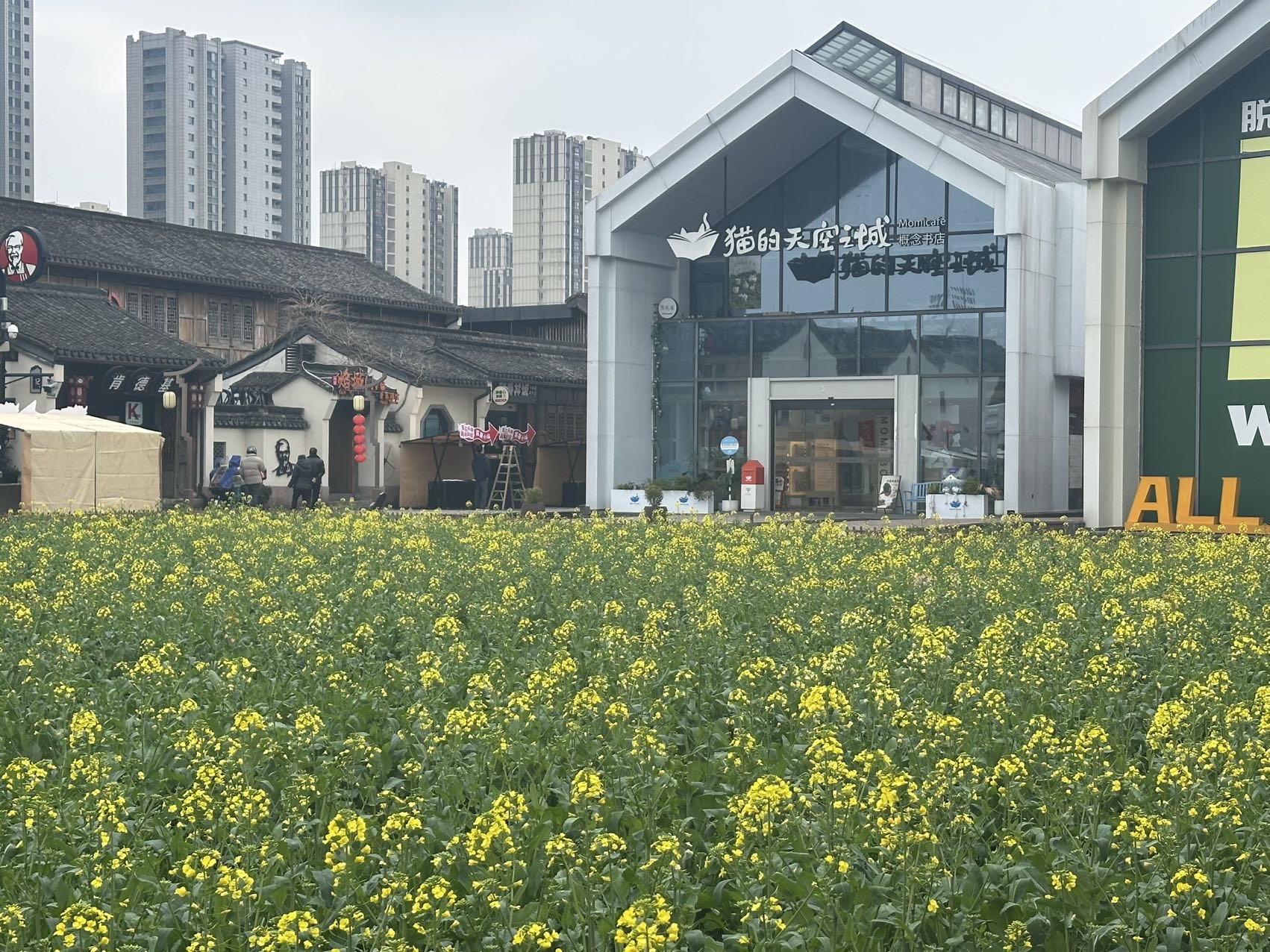 帖子配图 2