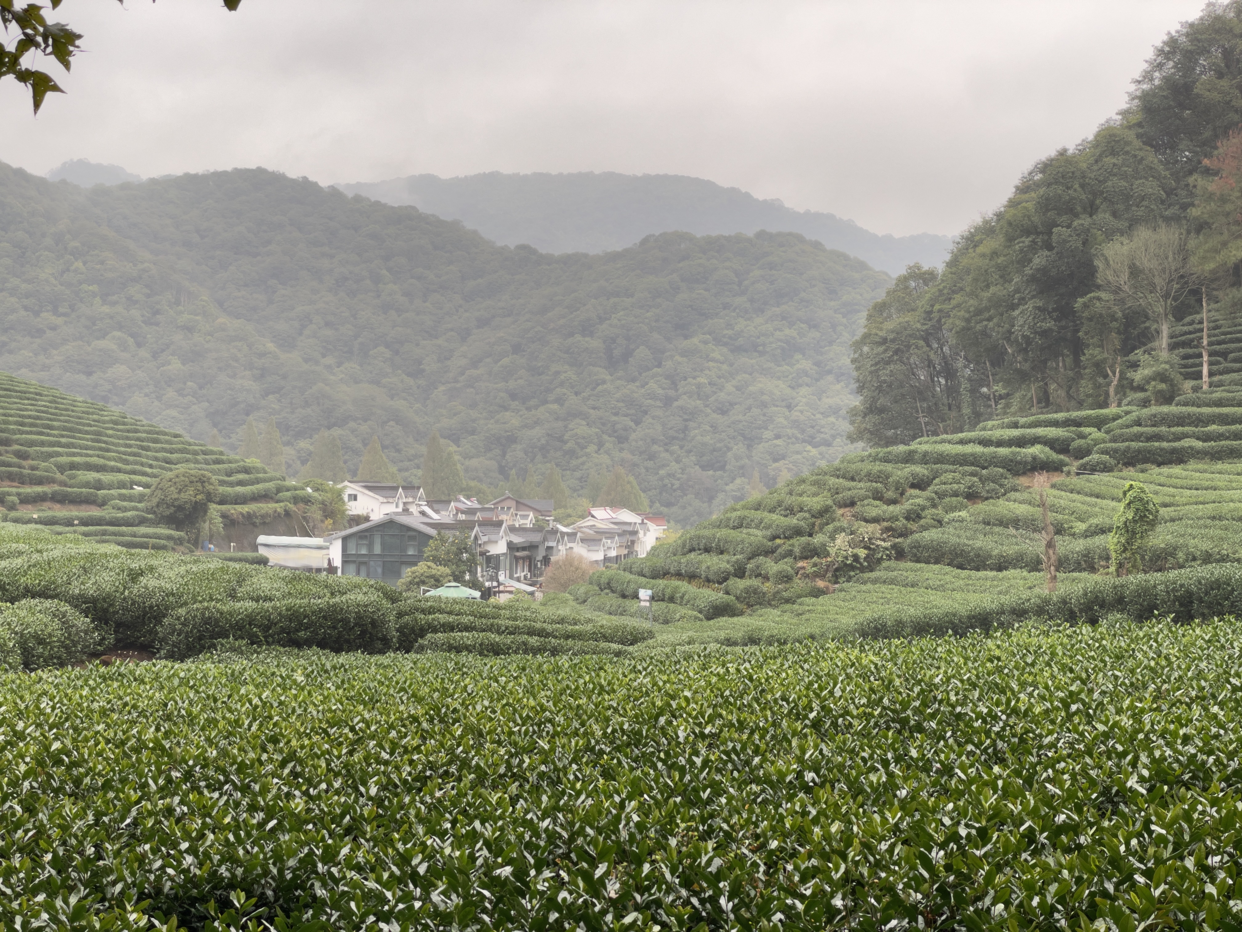 帖子配图 2