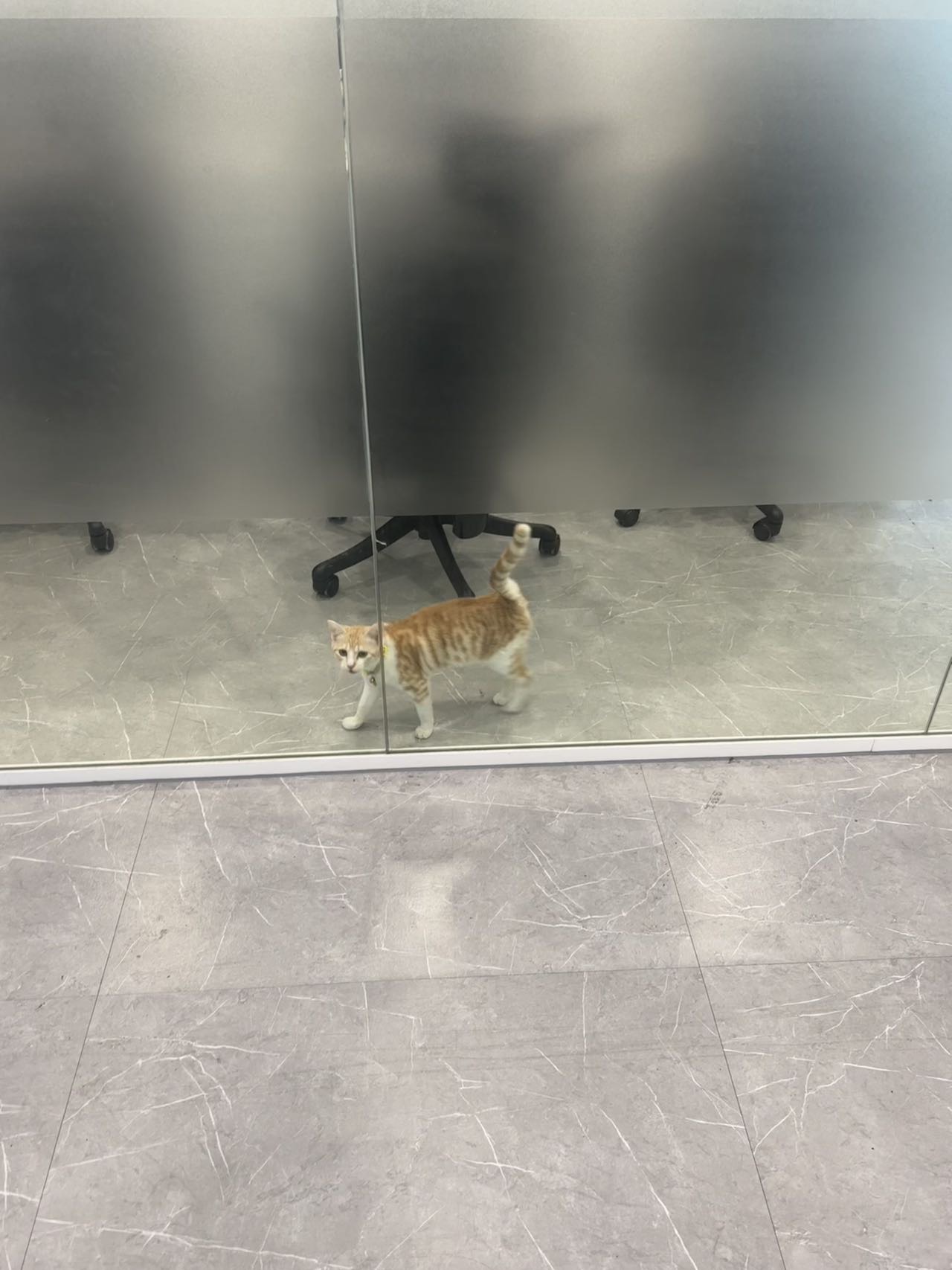 帖子配图 2